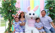 LOP040426
